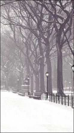 winter